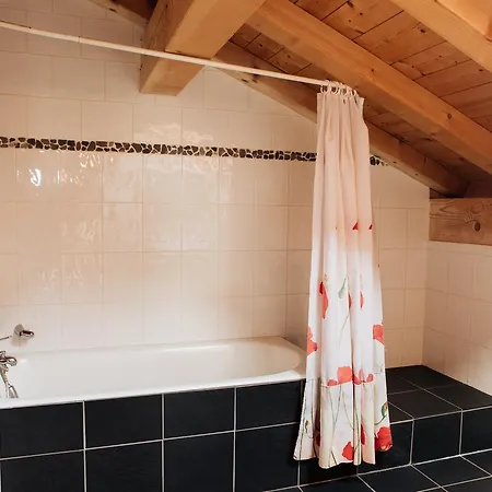 Mountain Mavericks Chalet Le Prele Гостевой дом Морзин